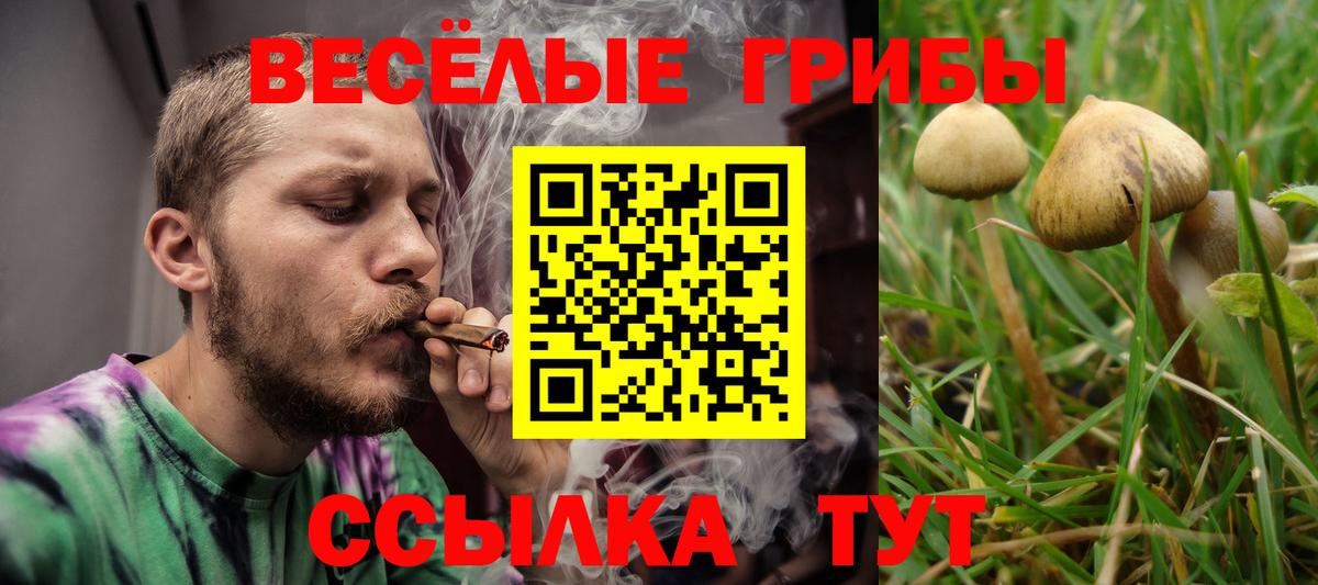 Красногорск  Галлюциногенные грибы прущие грибы  Вход с VPN 